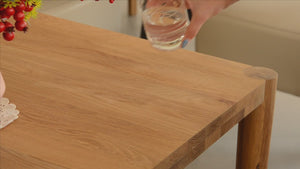 Kit with oil for caring for solid wood furniture